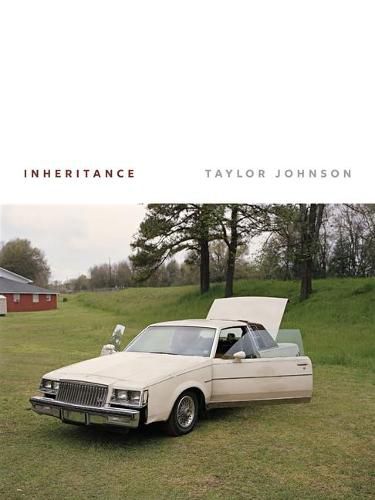 Cover image for Inheritance