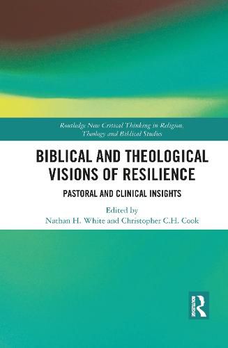 Cover image for Biblical and Theological Visions of Resilience: Pastoral and Clinical Insights