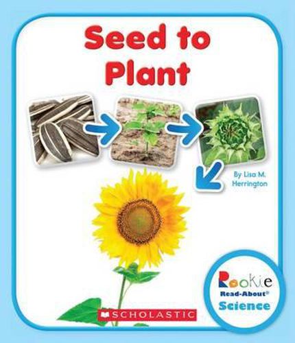 Cover image for Seed to Plant (Rookie Read-About Science: Life Cycles)