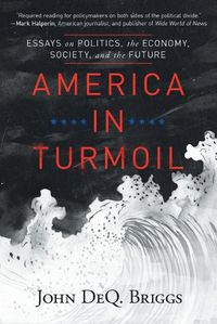 Cover image for America in Turmoil