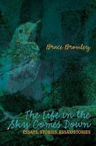 Cover image for The Life in the Sky Comes Down