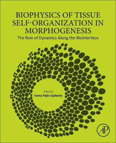 Cover image for Biophysics of Tissue Self-Organization in Morphogenesis