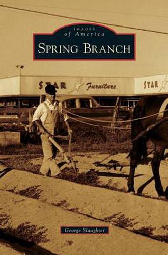 Cover image for Spring Branch