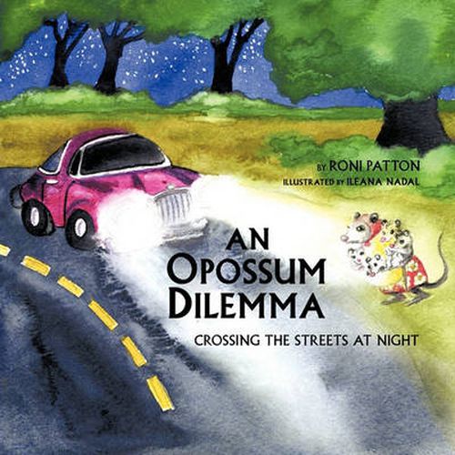 Cover image for An Opossum Dilemma: Crossing the Streets at Night