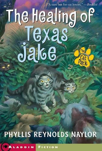 Healing of Texas Jake, the Cat Pack