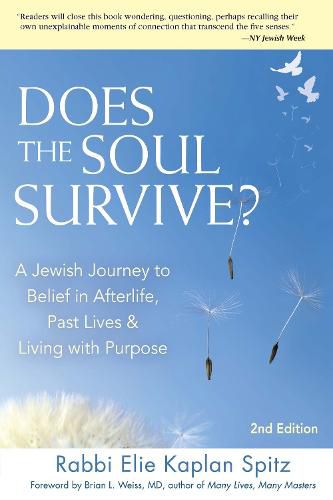 Does the Soul Survive? (2nd Edition): A Jewish Journey to Belief in Afterlife,  Past Lives & Living with Purpose