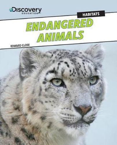 Cover image for Endangered Animals