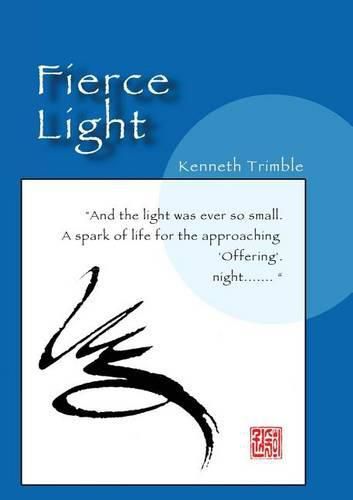 Cover image for Fierce Light
