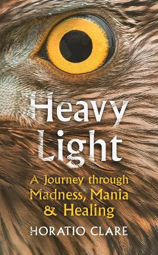 Heavy Light: A Journey Through Madness, Mania and Healing