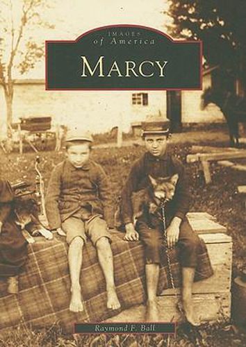 Cover image for Marcy