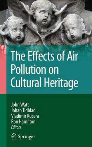 Cover image for The Effects of Air Pollution on Cultural Heritage