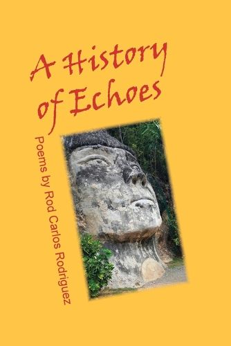 Cover image for A History of Echoes