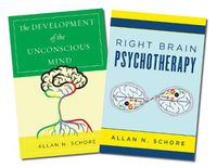 Cover image for The Development of the Unconscious Mind / Right Brain Psychotherapy Two-Book Set