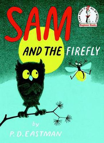 Cover image for Sam and the Firefly