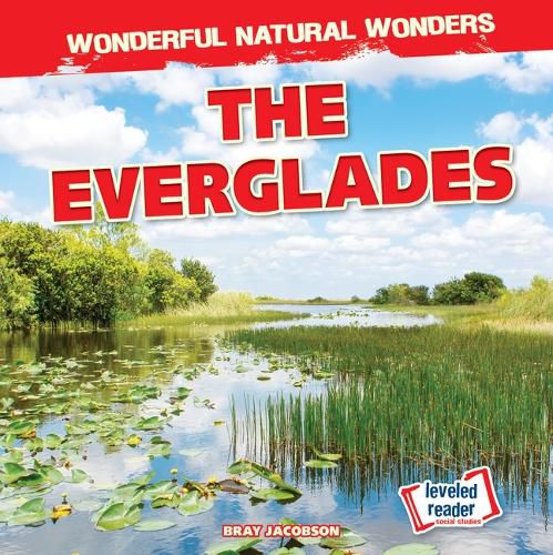 Cover image for The Everglades