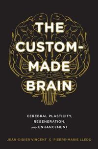 Cover image for The Custom-Made Brain: Cerebral Plasticity, Regeneration, and Enhancement