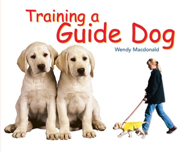 Cover image for Rigby Literacy Fluent Level 2: Training A Guide Dog (Reading Level 15/F&P Level I)