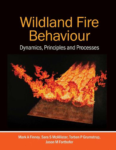 Cover image for Wildland Fire Behaviour: Dynamics, Principles and Processes