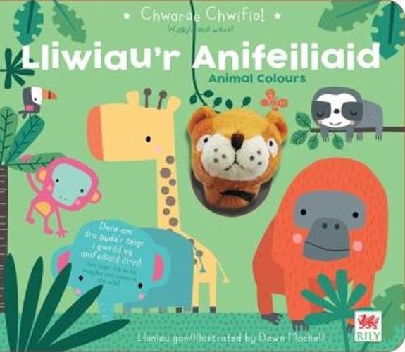 Cover image for Chwarae Chwifio: Lliwiau'r Anifeiliaid / Animal Colours