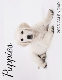 Cover image for Puppies 2025 Calendar