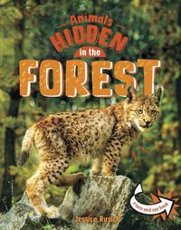 Cover image for Animals Hidden in the Forest