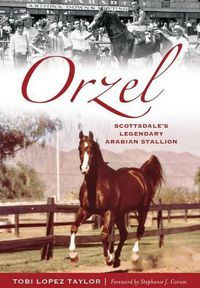 Cover image for Orzel: Scottsdale's Legendary Arabian Stallion