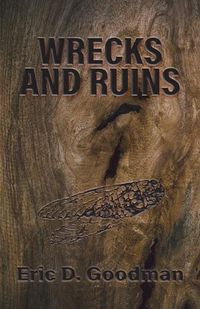 Cover image for Wrecks and Ruins