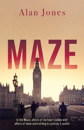 Cover image for Maze