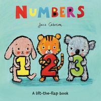 Cover image for Numbers