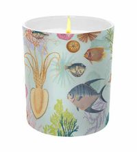 Cover image for Art of Nature: Under the Sea Scented Glass Candle
