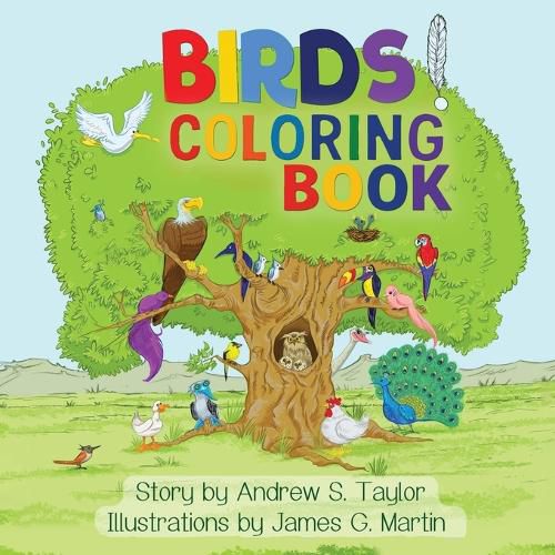 Cover image for Birds!