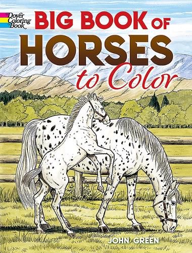 Cover image for Big Book of Horses to Color