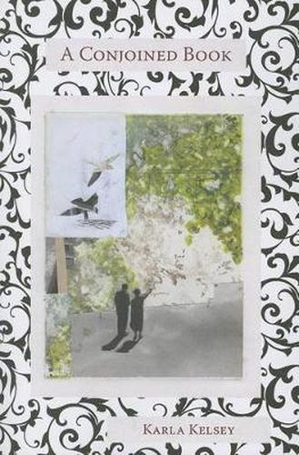 Cover image for A Conjoined Book