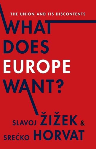 Cover image for What Does Europe Want?: The Union and Its Discontents