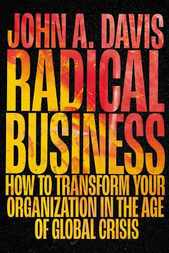 Cover image for Radical Business: How to Transform Your Organization in the Age of Global Crisis