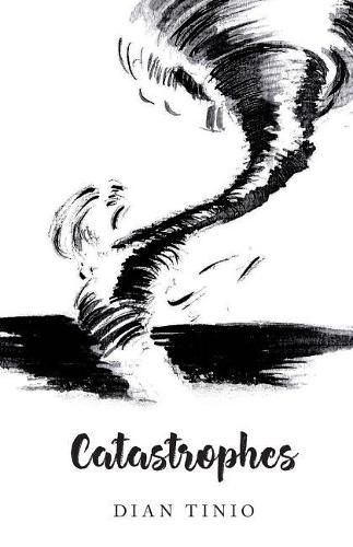 Cover image for Catastrophes