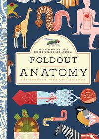 Cover image for Foldout Anatomy