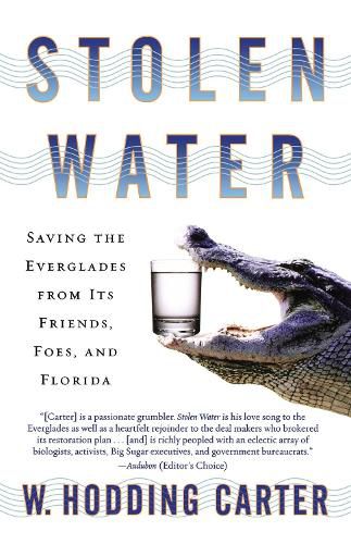 Cover image for Stolen Water: Saving the Everglades from Its Friends, Foes, and Florida