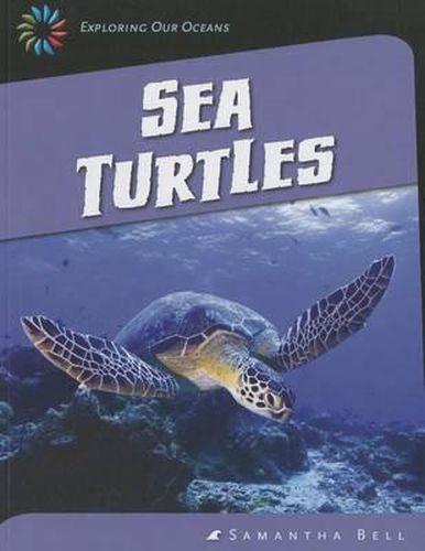 Cover image for Sea Turtles