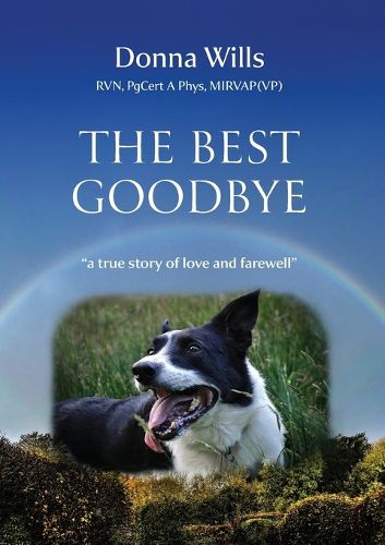 Cover image for The Best Goodbye