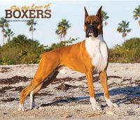 Cover image for Boxers, for the Love of 2020 Deluxe Foil