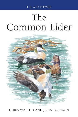 Cover image for The Common Eider