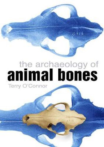 Cover image for The Archaeology of Animal Bones