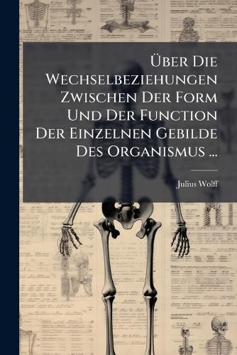 Cover image for Ber Die Wechselbeziehungen Zwischen Der Form Und Der Function Der Einzelnen Gebilde Des Organismus ...