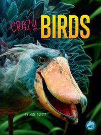 Cover image for Crazy Birds