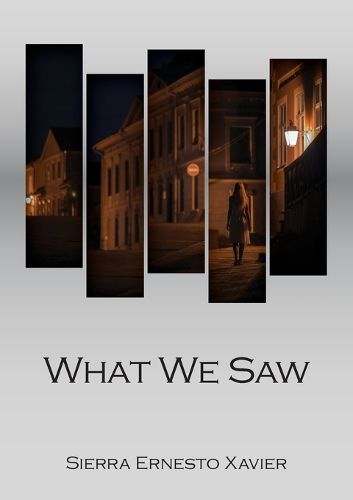 Cover image for What We Saw