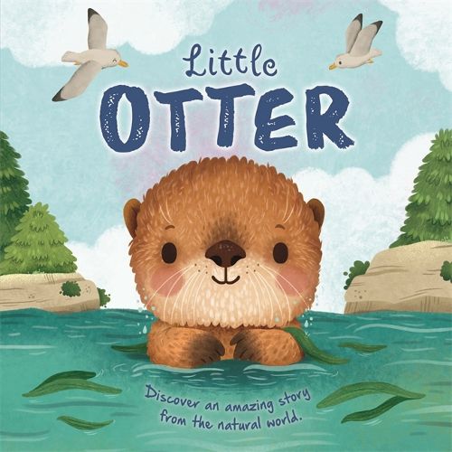 Cover image for Little Otter