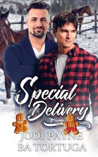 Cover image for Special Delivery: A Wrecked Holiday Novel