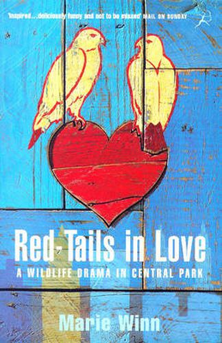 Cover image for Red-tails in Love: A Wildlife Drama in Central Park