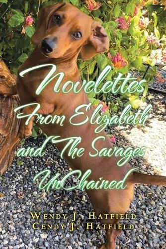 Cover image for Novelettes from Elizabeth and the Savages Unchained